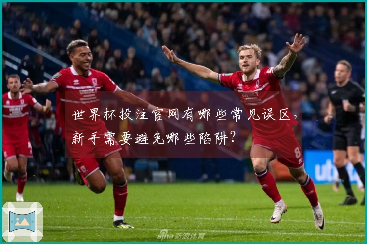 世界杯投注官网有哪些常见误区,新手需要避免哪些陷阱?